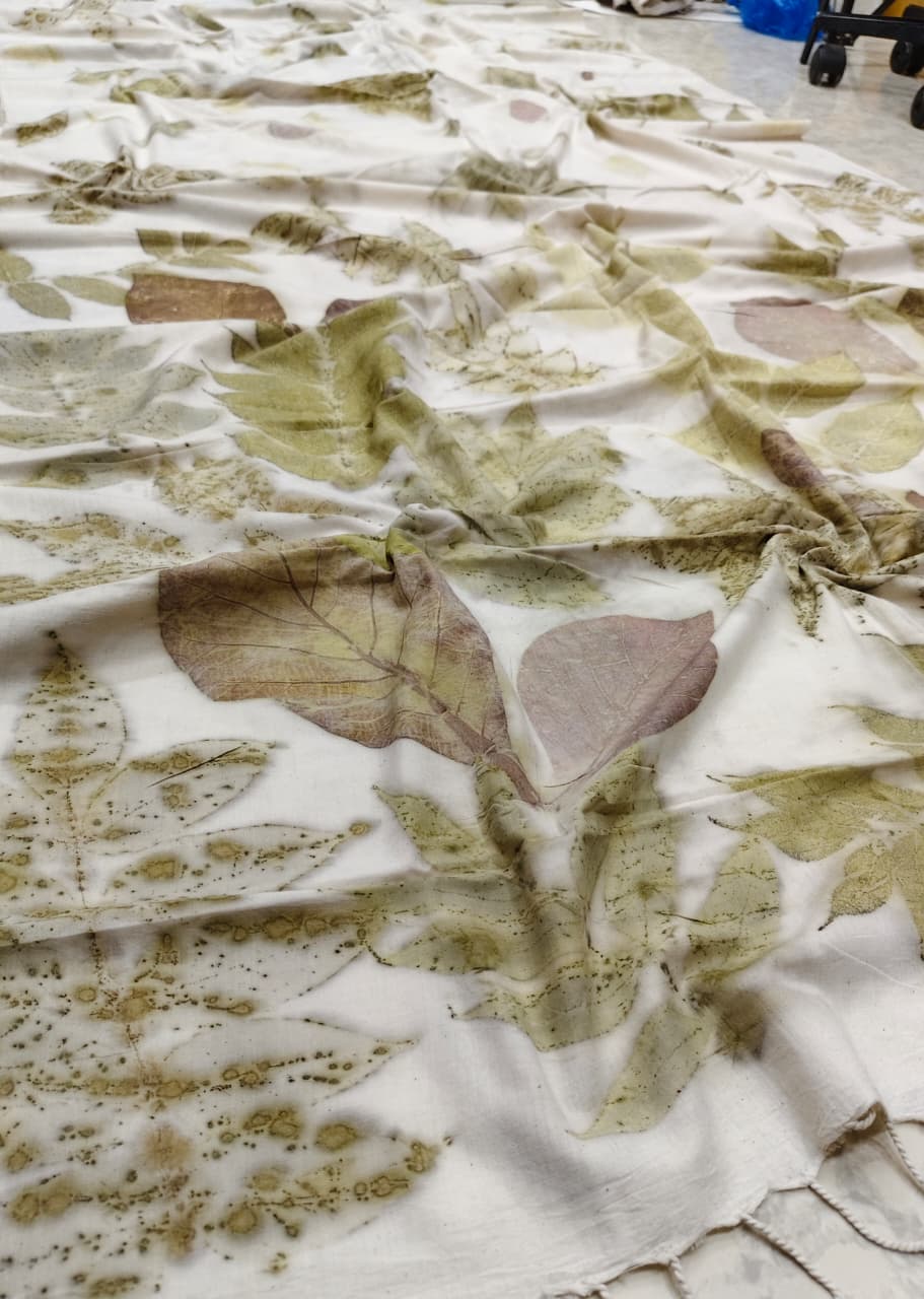 Organic Cotton Handloom Saree Eco print saree - white