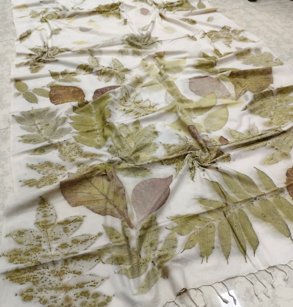 Organic Cotton Handloom Saree Eco print saree - white