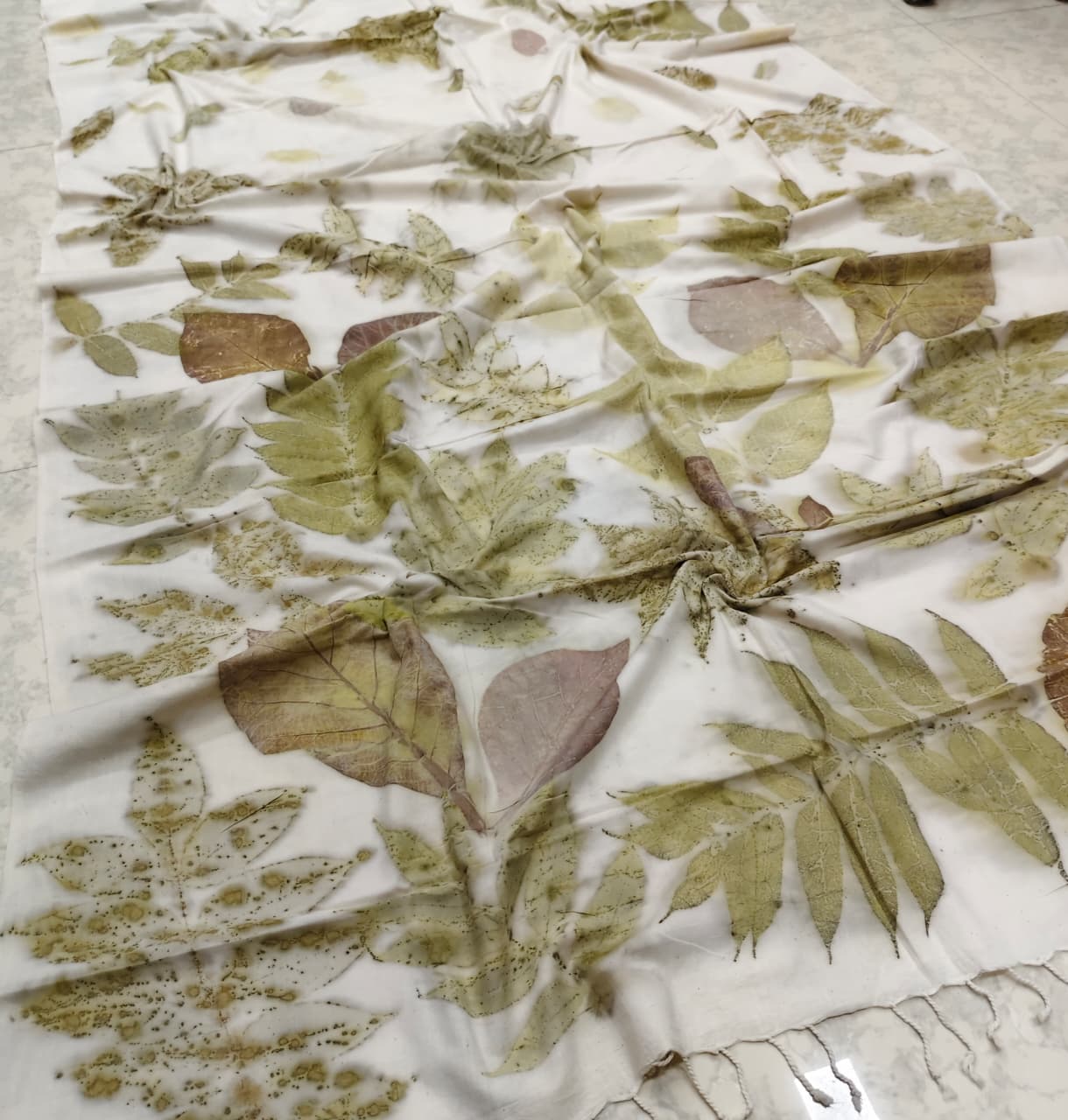 Organic Cotton Handloom Saree Eco print saree - white